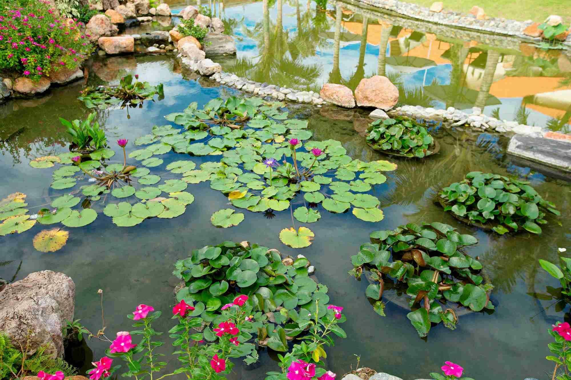 Blue Bay Mui Ne Resort & Spa Phan Thiết Extérieur photo